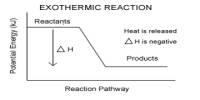 Exothermic Process