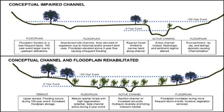 Floodplain Restoration