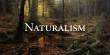 Liberal Naturalism