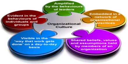 Organizational Culture System