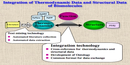 Thermodynamic Databases for Pure Substances