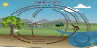 Carbon Cycle re-balancing
