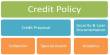 Credit Management Policy of Mutual Trust Bank