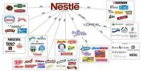 Merchandising Development of Nestle Bangladesh
