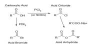 Derivatives of Acid Chlorides