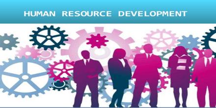 Effectiveness of Human Resource Management in Improving Performance