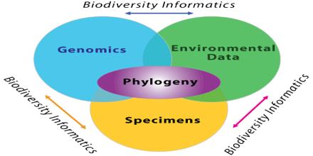 Biodiversity Informatics