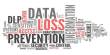 Data Loss Prevention Software