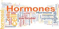 Lecture on Hormones
