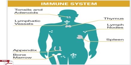 Lecture on The Immune System