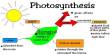 Respiration vs Photosynthesis