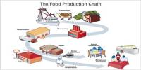 Food Production