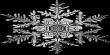 Snowflake Symmetry