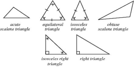 Triangles: Classifications, Angles and More