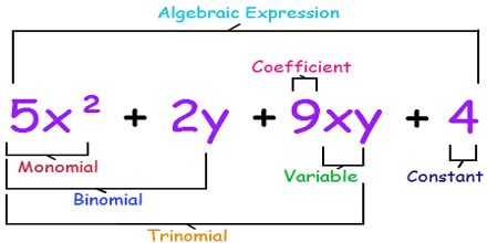 Algebraic Expressions