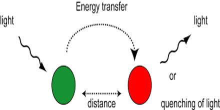 Energy Transfer - Assignment Point