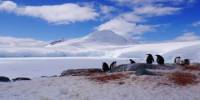 World’s Last Great Wilderness: Antarctica