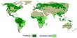Presentation on Global Distribution of Forest