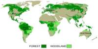 Presentation on Global Distribution of Forest