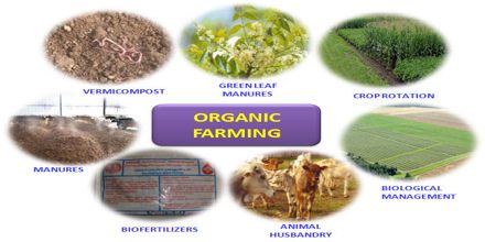 Presentation on Organic Farming