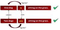 Grammar Rules: Subject or Verb Agreement