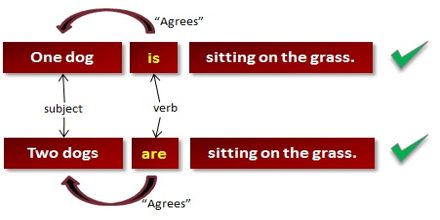 Grammar Rules: Subject or Verb Agreement