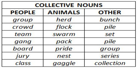 Presentation on Collective Nouns - Assignment Point