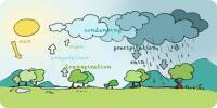 What is Condensed Water Vapor?