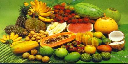 Tropical Fruits of Philippines