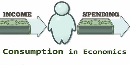 Consumption in Economics