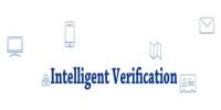 Intelligent Verification
