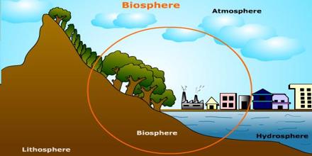Lecture on the Biosphere