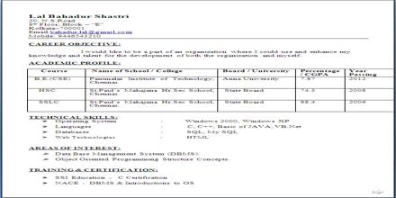 Curriculum Vita format for Electrical and Computer Engineering