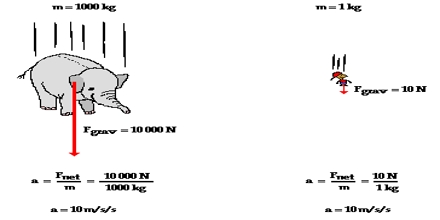 Free Fall: Newton’s Second Laws of Motion