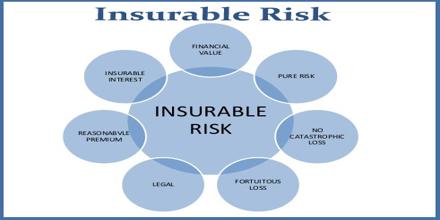Insurable Risk
