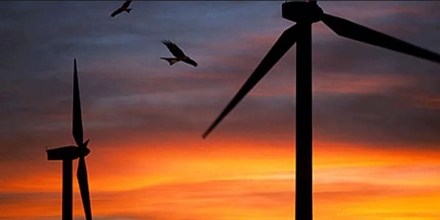 Wind Farms and Red Kites