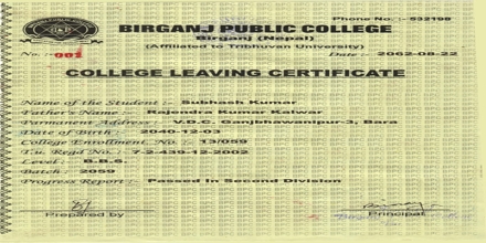 Leaving Certificate from School/College Sample Application