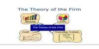 Assignment on Theory of the Firm