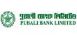 Finance Analysis on the Pubali Bank