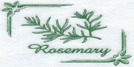 Health Benefits and other uses of Rosemary Leaf
