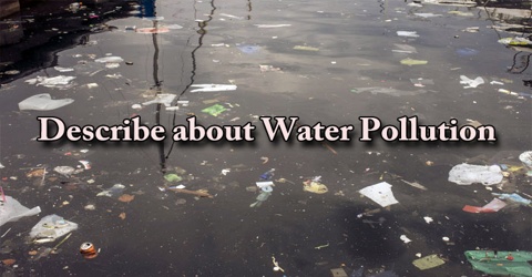 Describe about Water Pollution