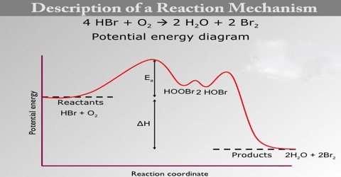 Description of a Reaction Mechanism