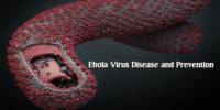 Ebola Virus Disease and Prevention
