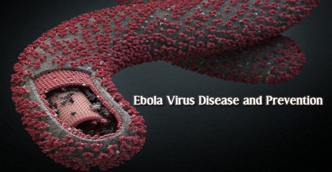 Ebola Virus Disease and Prevention