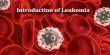 Introduction of Leukemia