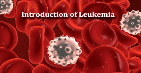 Introduction of Leukemia