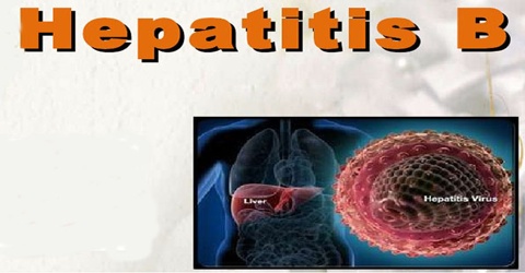 Overview about Hepatitis B