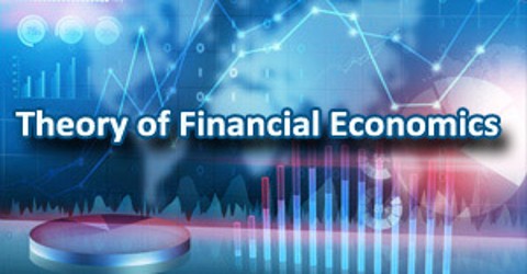 Theory of Financial Economics