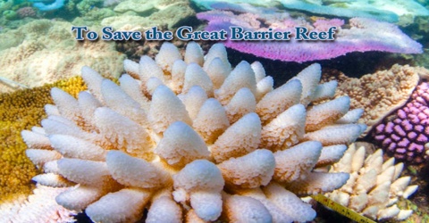 To Save the Great Barrier Reef