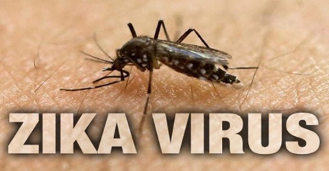 Zika Virus (ZIKV)